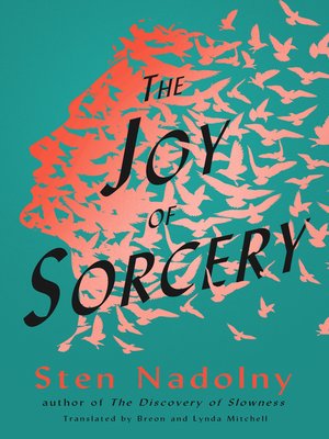 cover image of The Joy of Sorcery